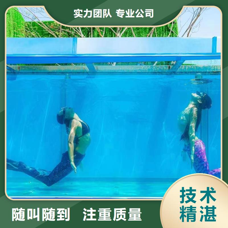 海洋主题动物表演-企鹅出租表演一站式服务