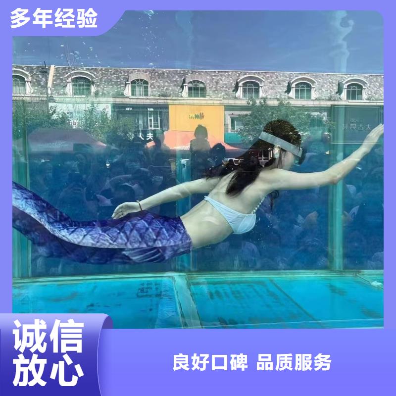 海洋主题动物表演,出租表演企鹅高品质