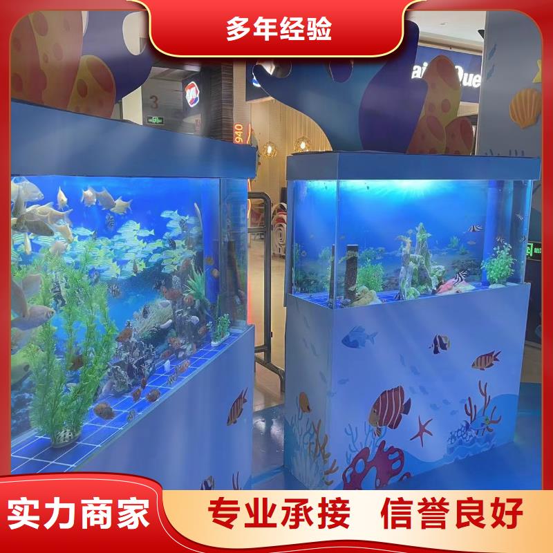 海洋主題動物表演房地產(chǎn)開盤慶典一站式服務(wù)