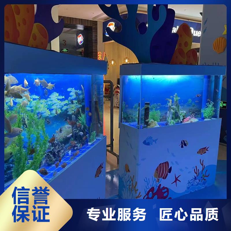 海洋主题动物表演,动物表演出租实力公司