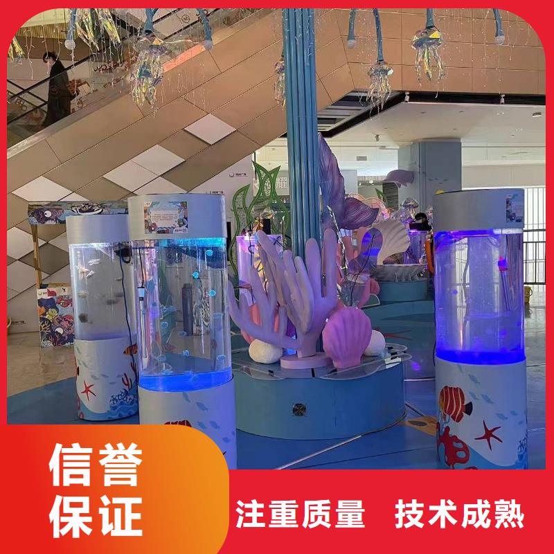 海洋主題動物表演海獅表演租賃實力公司