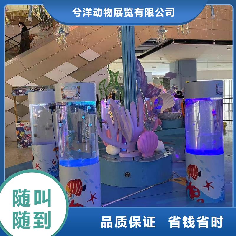 海獅表演出租工廠