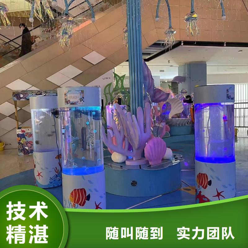 海洋主题动物表演,环球飞车表演出租案例丰富