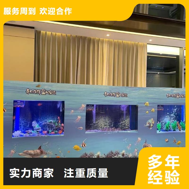 海洋主題動物表演草泥馬羊駝租賃好評度高