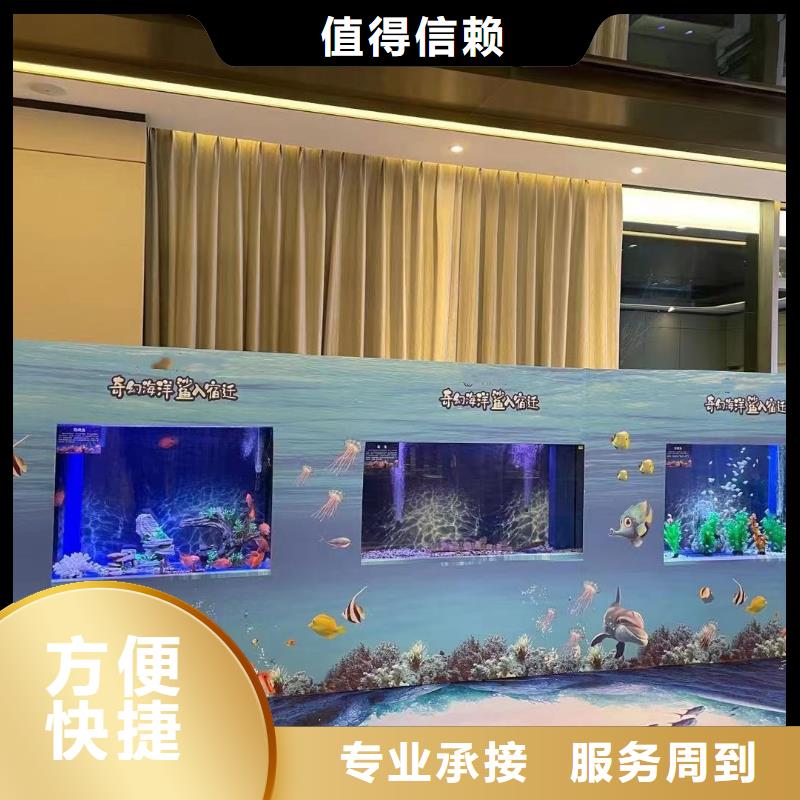 海獅表演租賃慶典活動(dòng)