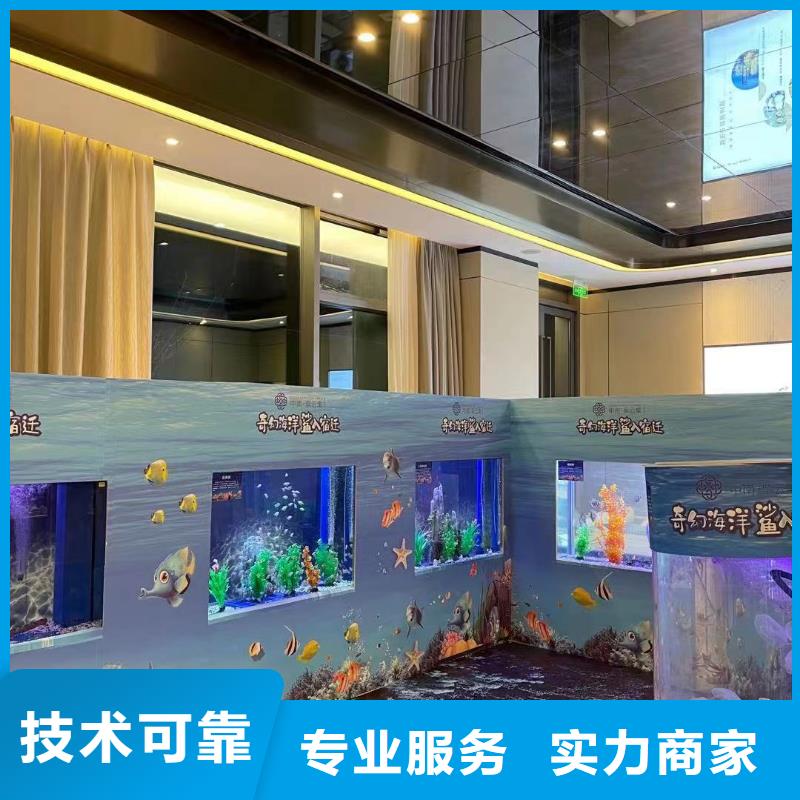 海洋主题动物表演【出租企鹅表演】2025公司