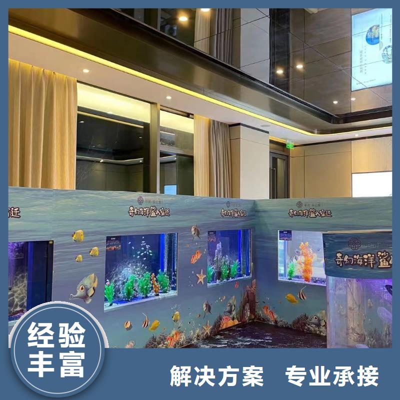 海洋主題動(dòng)物表演企鵝租賃快速