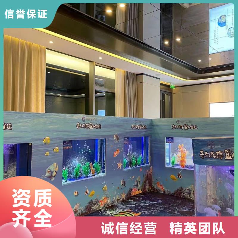 海洋主题动物表演,美人鱼表演出租品质卓越