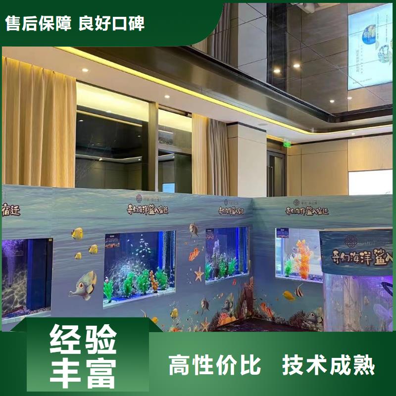 海洋主題動物表演 馴獸表演遵守合同