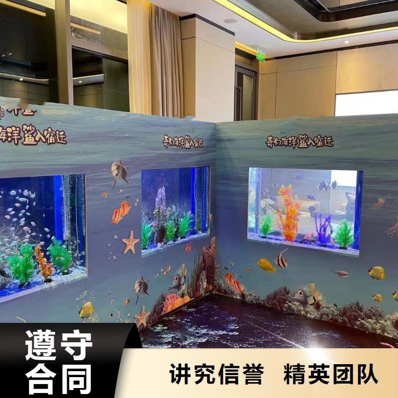海洋主題動物表演_企鵝租賃匠心品質(zhì)