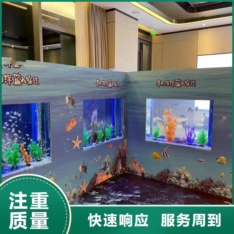 海洋主题动物表演-动物杂技表演租赁专业可靠