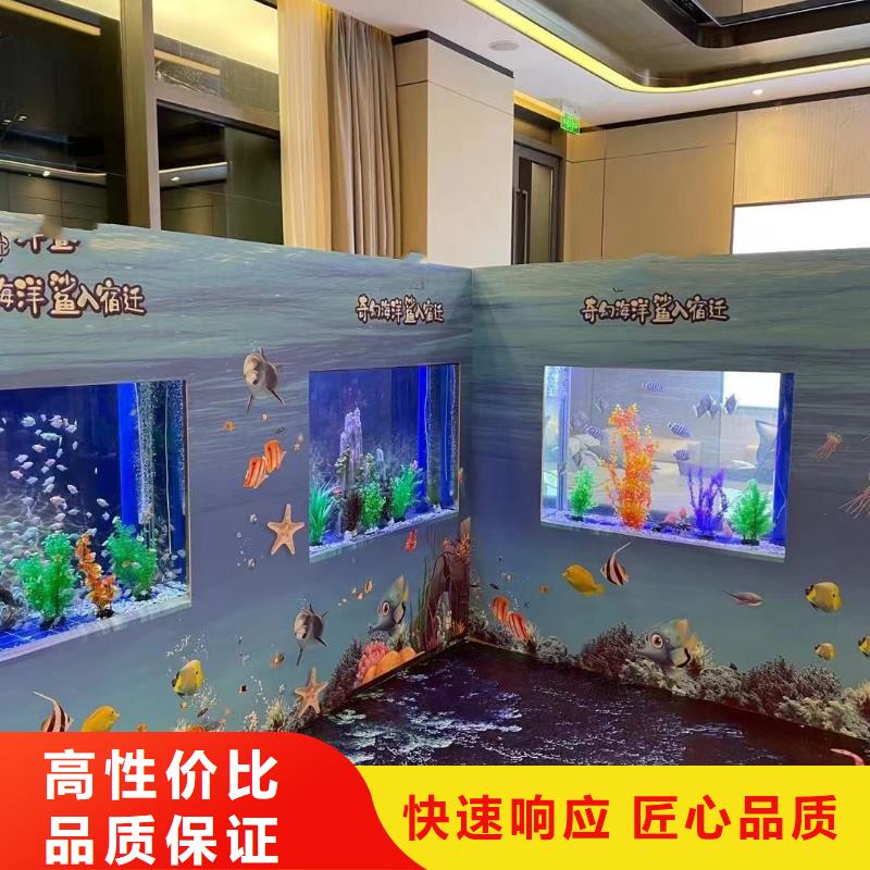海洋主题动物表演,【海狮表演租赁】诚信放心