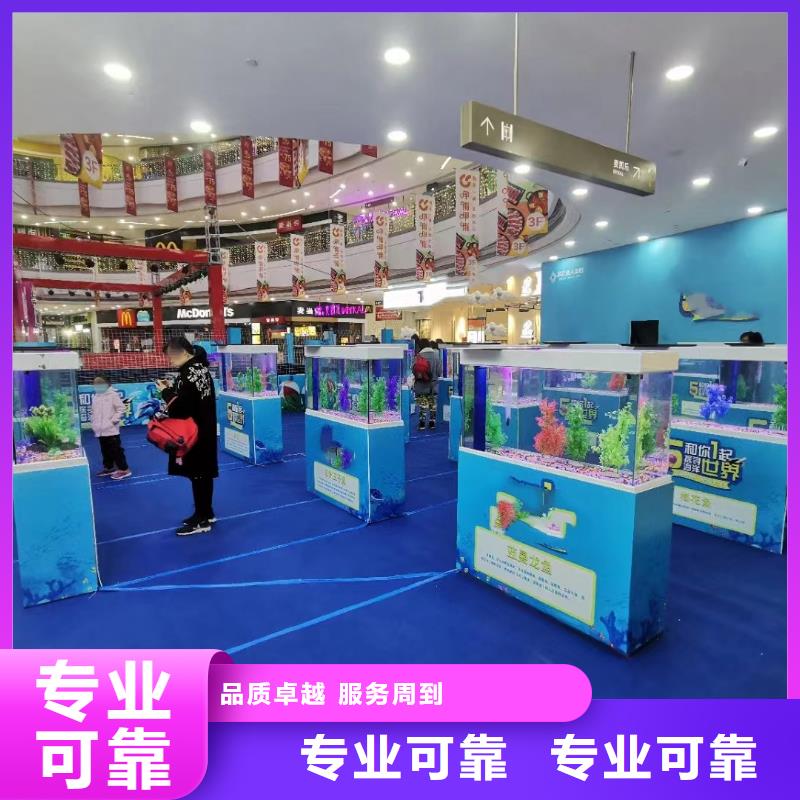海洋主題動(dòng)物表演,海洋展租賃經(jīng)驗(yàn)豐富