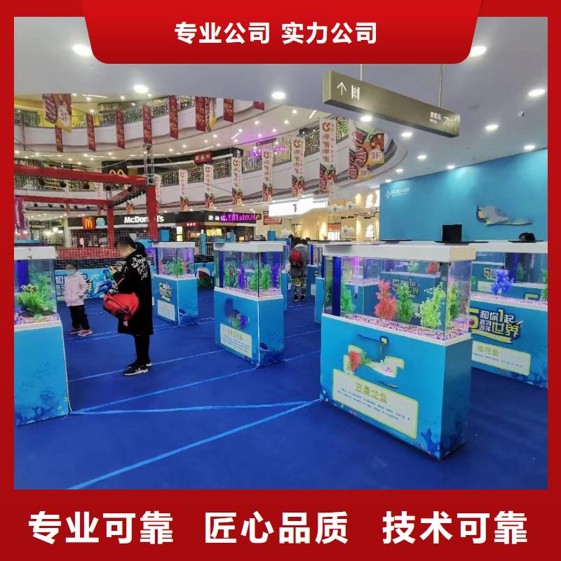 海洋主题动物表演-企鹅出租表演一站式服务