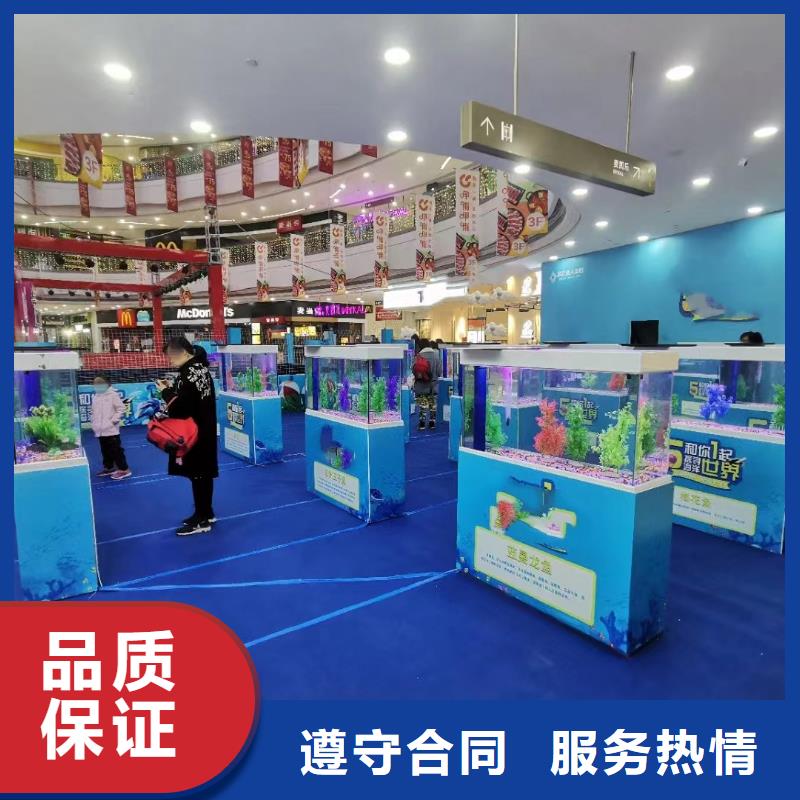 【海洋主題動物表演】馬戲團(tuán)表演比同行便宜