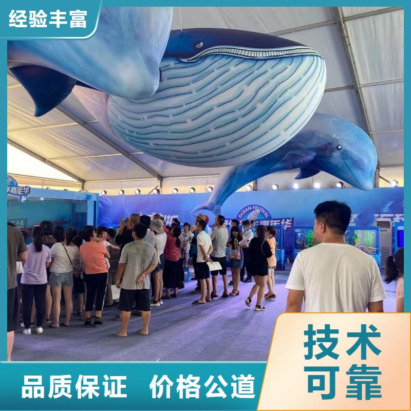 海洋主题动物表演 鹦鹉表演租赁口碑商家