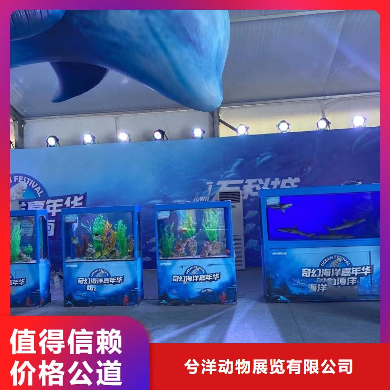 【海洋主题动物表演】海洋展租赁实力强有保证