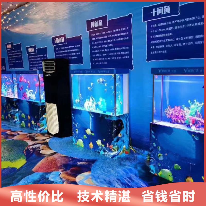 海洋主題動物表演出租表演羊駝信譽保證