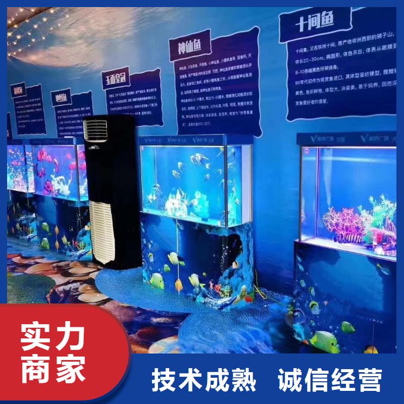 海洋主題動(dòng)物表演小馬戲表演出租實(shí)力團(tuán)隊(duì)