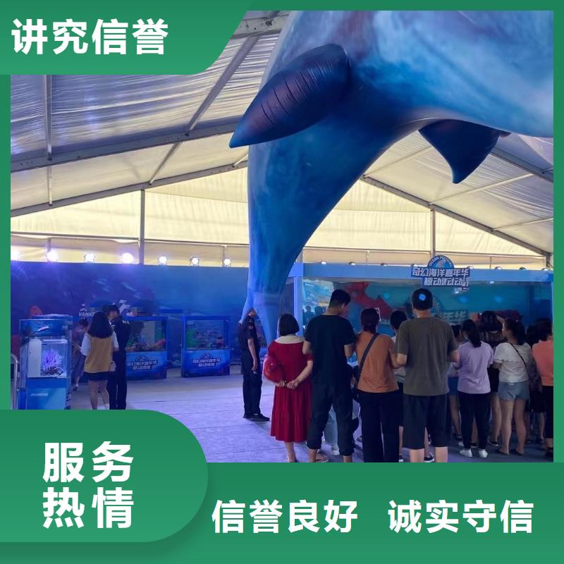 海洋主题动物表演出租海狮表演诚信