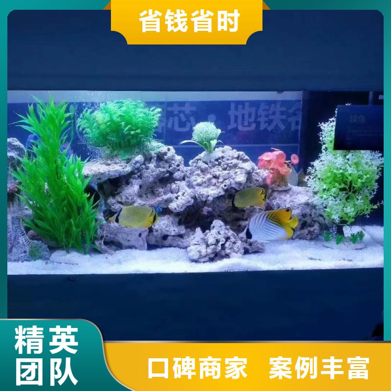 海洋主题动物表演吉祥百鸟展价格公道