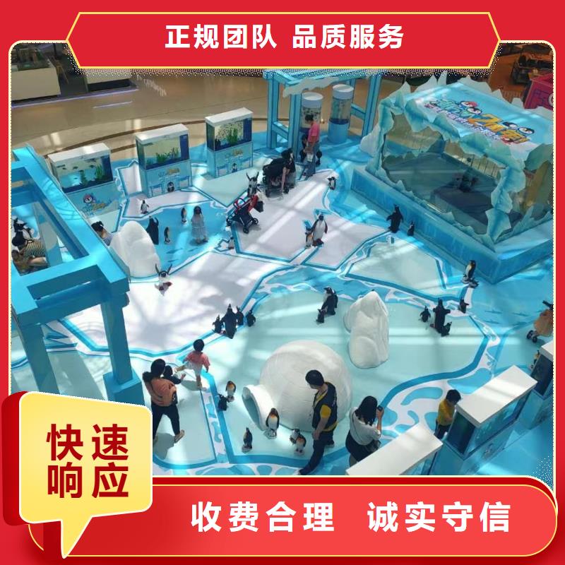 海洋主题动物表演 动物表演靠谱商家