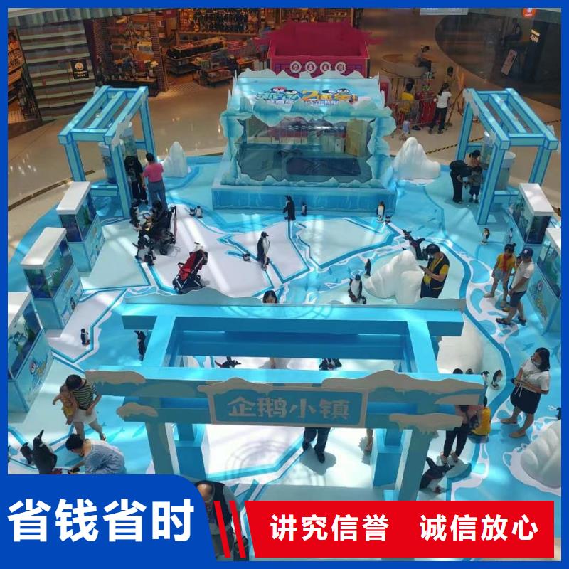海洋主题动物表演_羊驼表演品质优