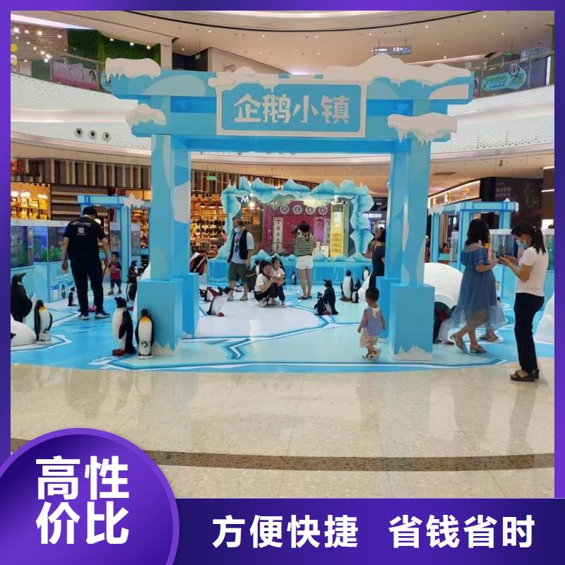 海洋主题动物表演动物表演24小时为您服务