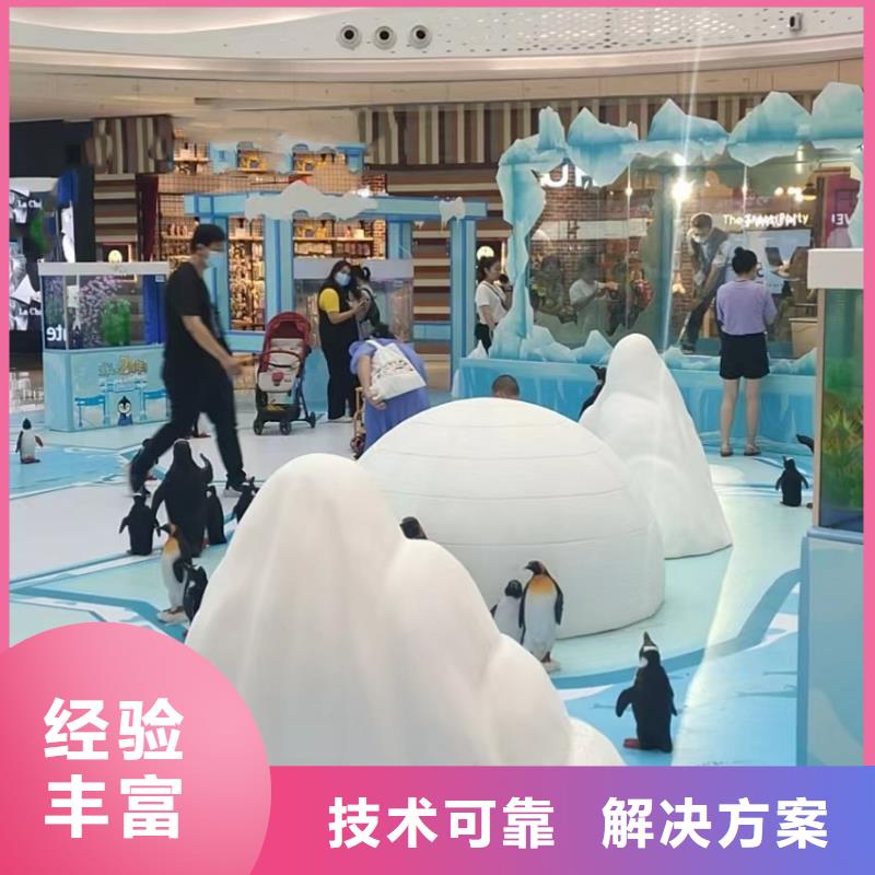 海洋主題動(dòng)物表演馬戲團(tuán)表演出租租賃技術(shù)精湛