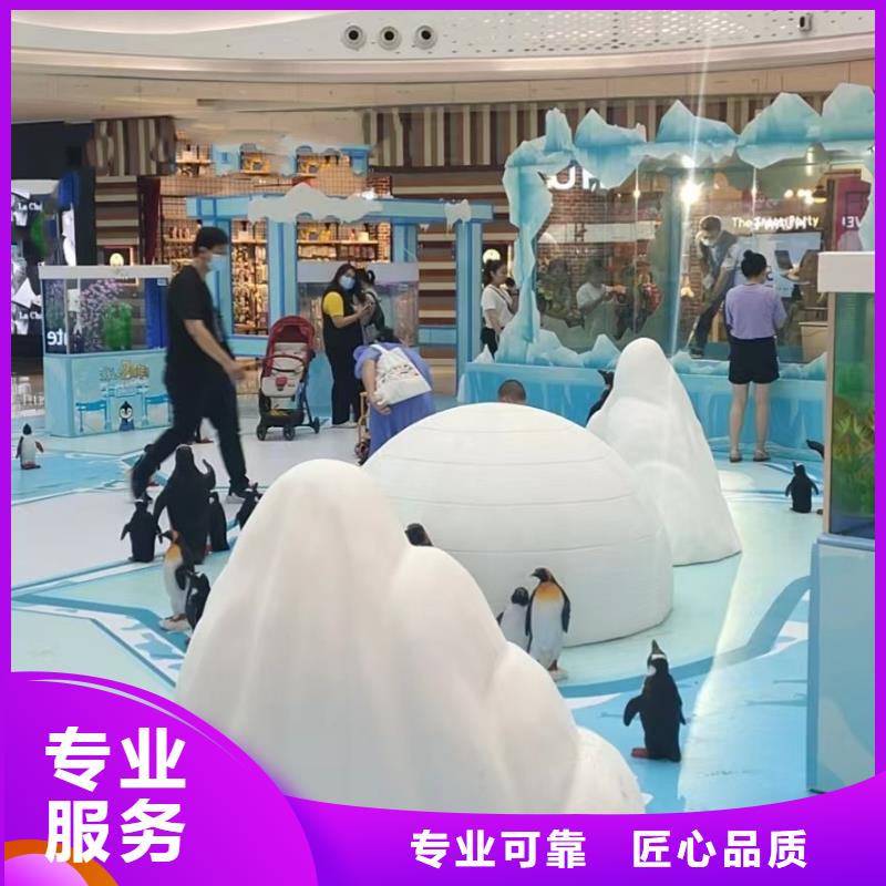 海洋主题动物表演羊驼出租省钱省时