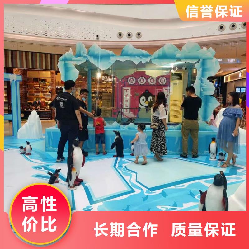 海洋主题动物表演海狮表演出租省钱省时