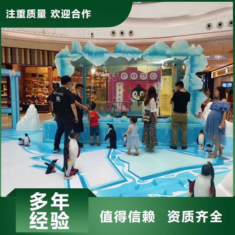 海洋主題動物表演【企鵝演出】專業(yè)服務(wù)