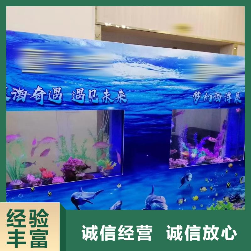 海洋主題動物表演海獅表演出租解決方案