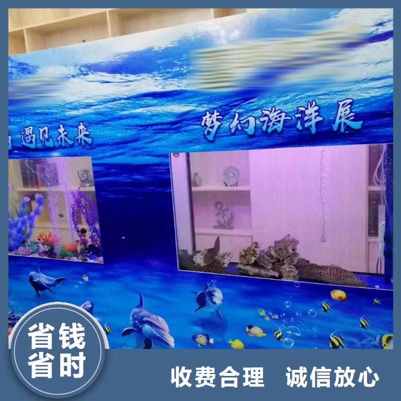 【海洋主題動物表演】觀賞性羊駝租賃解決方案