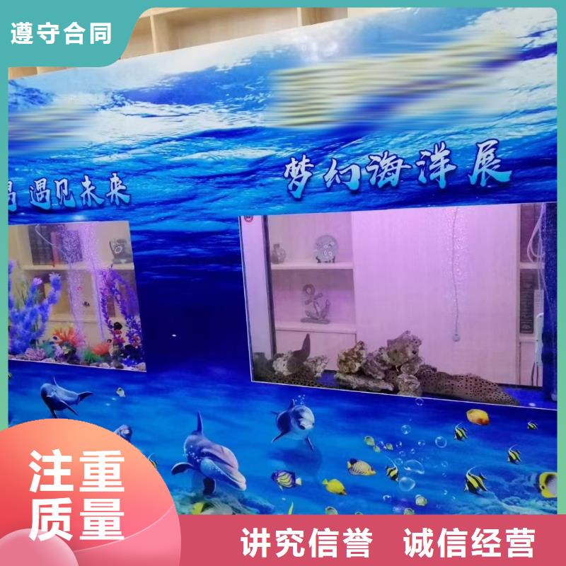 海洋主题动物表演杂技表演租赁服务先进的技术