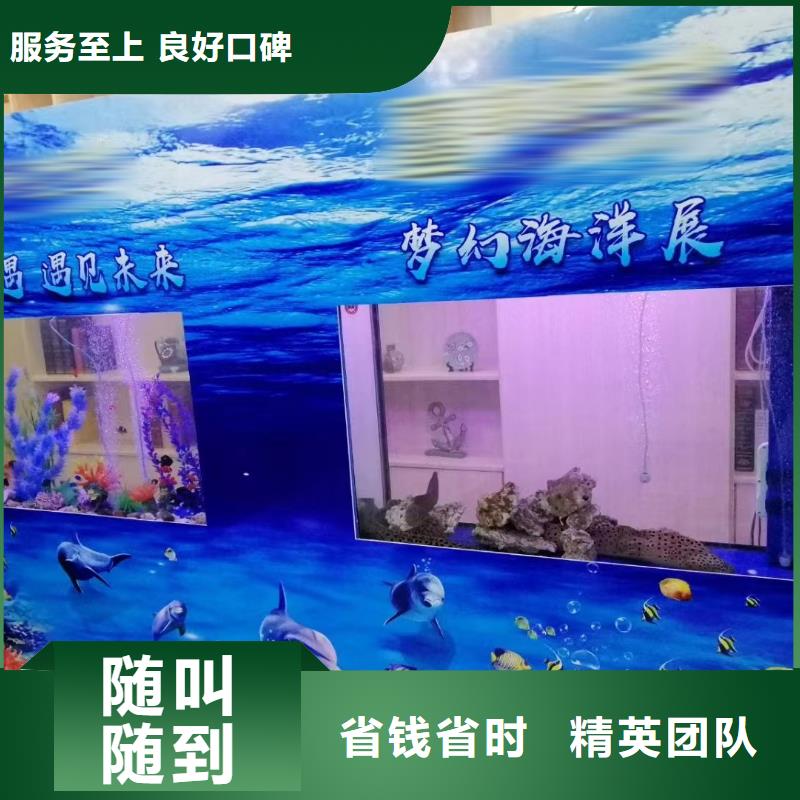 【海洋主題動物表演】海獅表演出租講究信譽