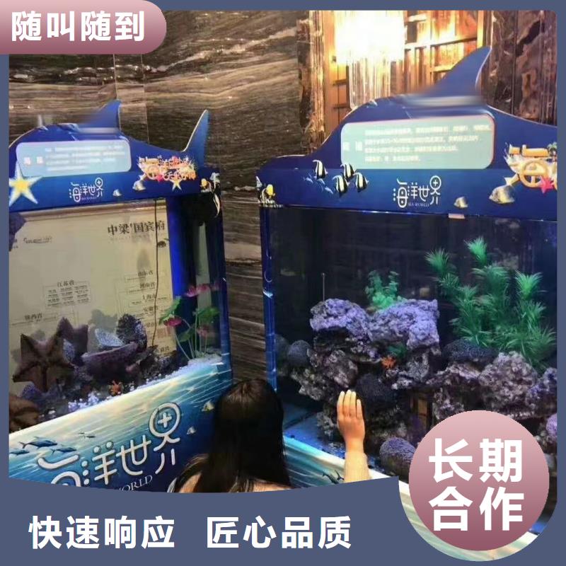 海洋主题动物表演【马戏团表演】经验丰富