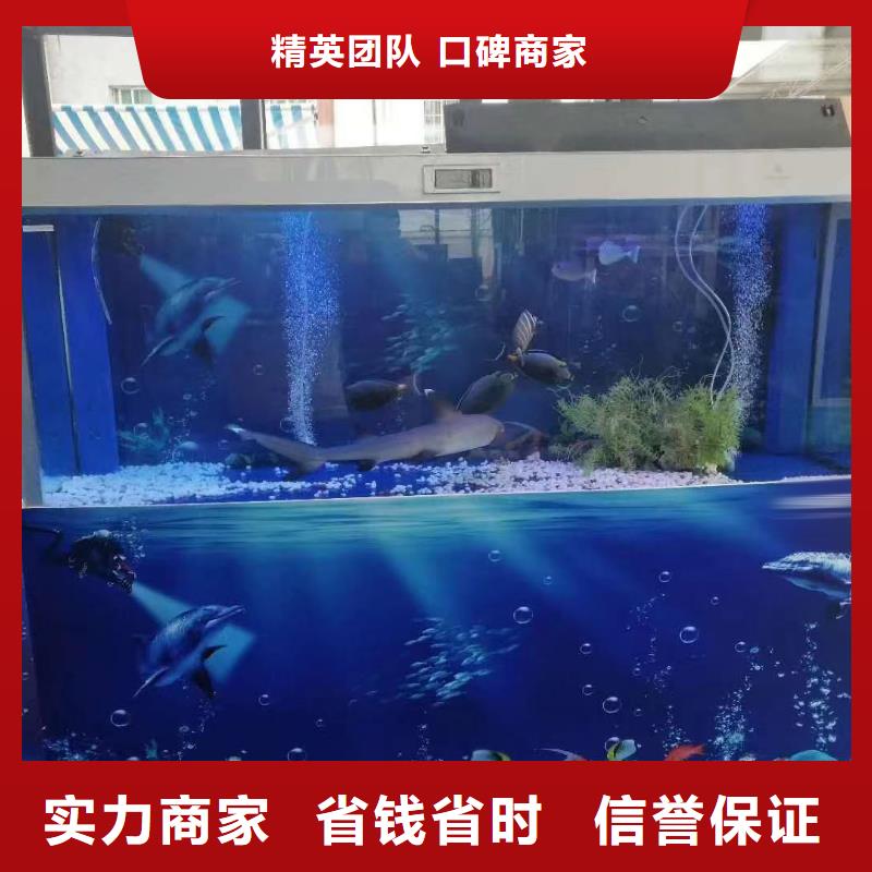 海洋主題動物表演,美人魚表演多家服務(wù)案例