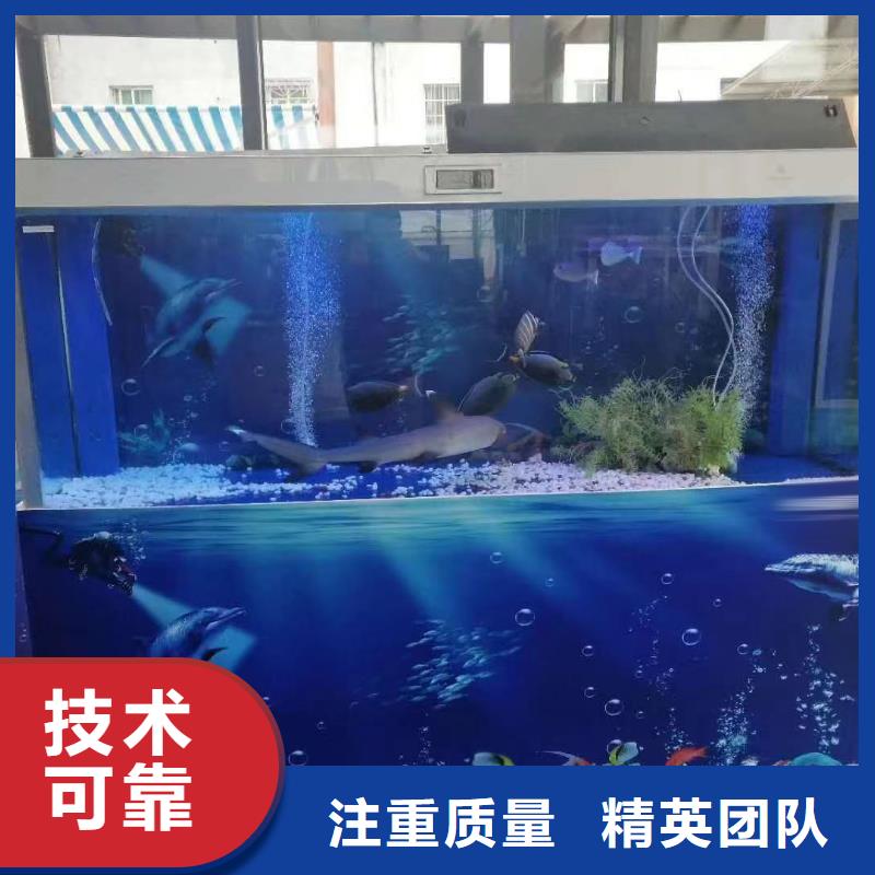 海洋主题动物表演_羊驼出租服务周到