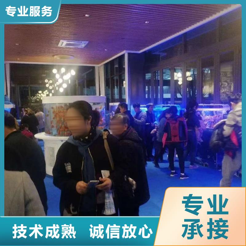 海洋主題動(dòng)物表演小馬戲出租誠信經(jīng)營
