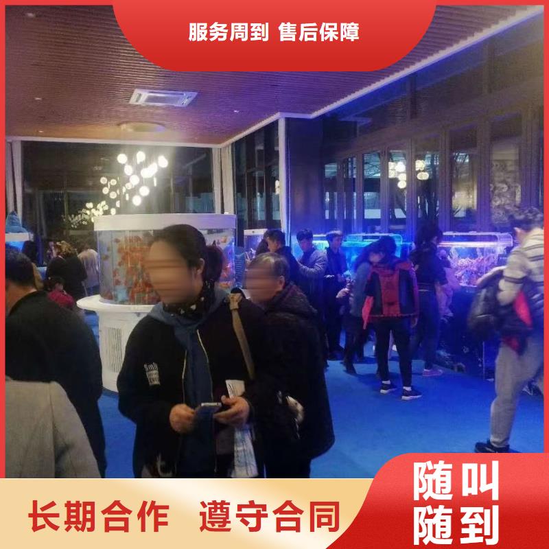 海洋主题动物表演海洋展租赁良好口碑