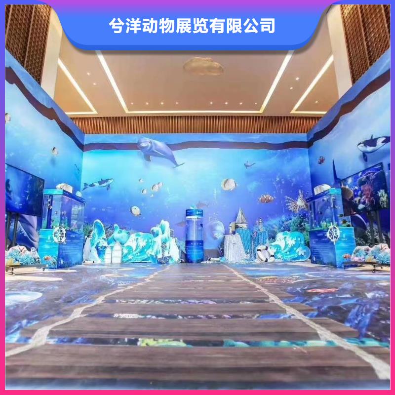 海洋主題動物表演 馬戲團出租 2025公司