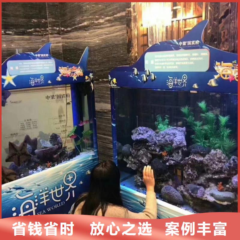 【海洋主題動物表演】出租海獅表演專業(yè)可靠