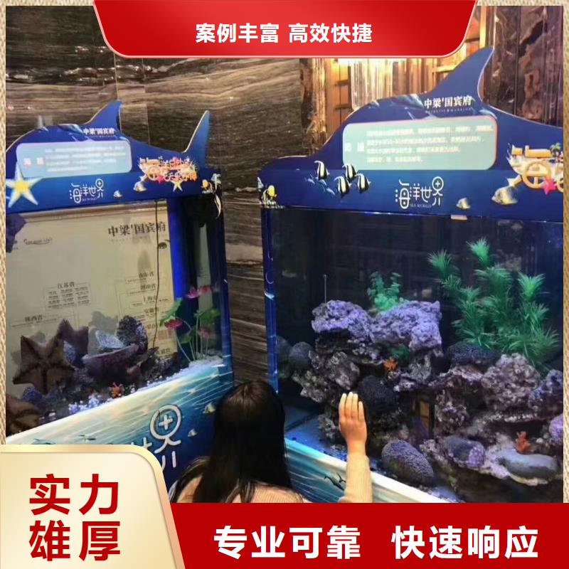 海洋主题动物表演-马戏团表演出租租赁靠谱商家