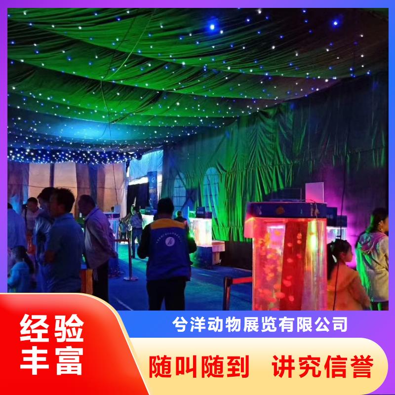 海洋主題動物表演,美人魚表演多家服務(wù)案例