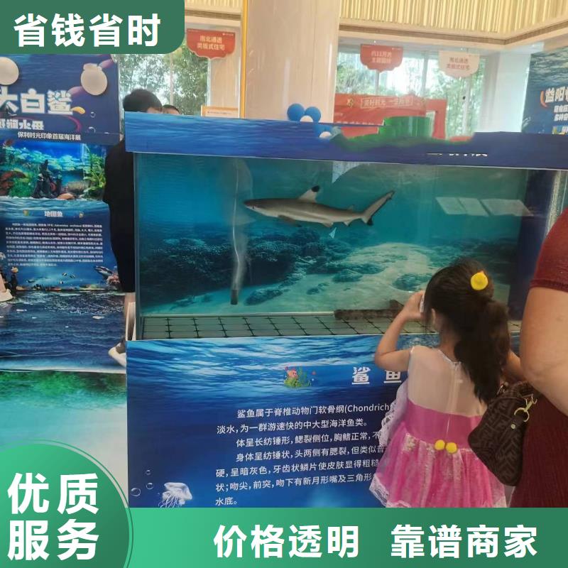 海獅表演出租工廠