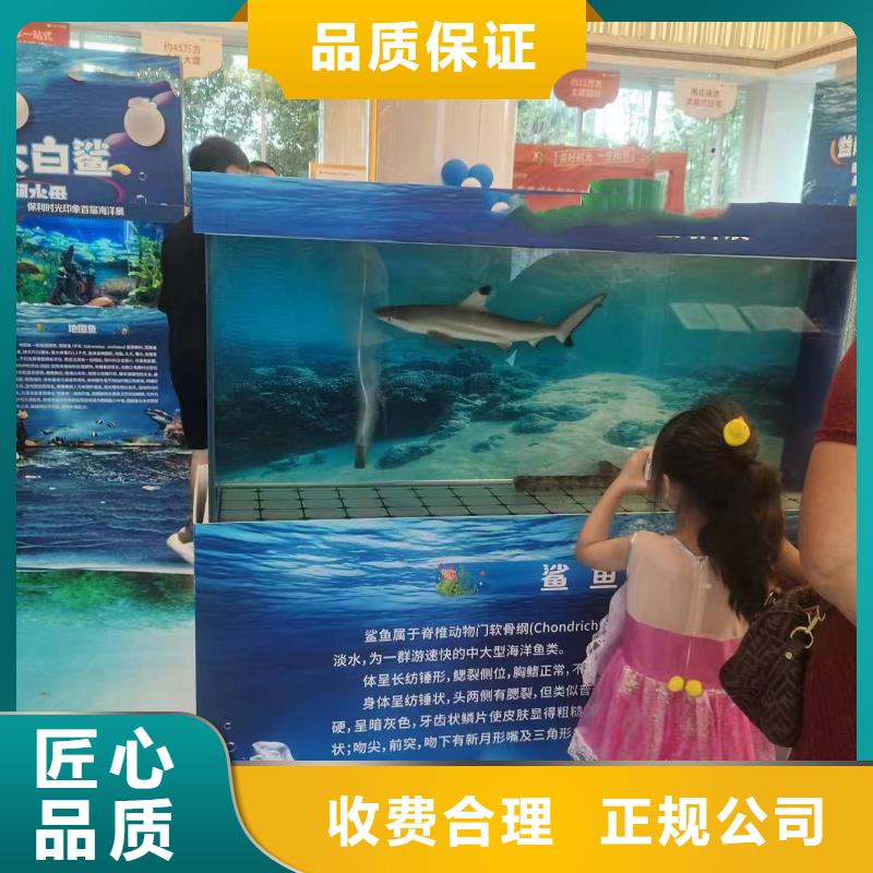 哪有出租美人魚表演的全國(guó)承接