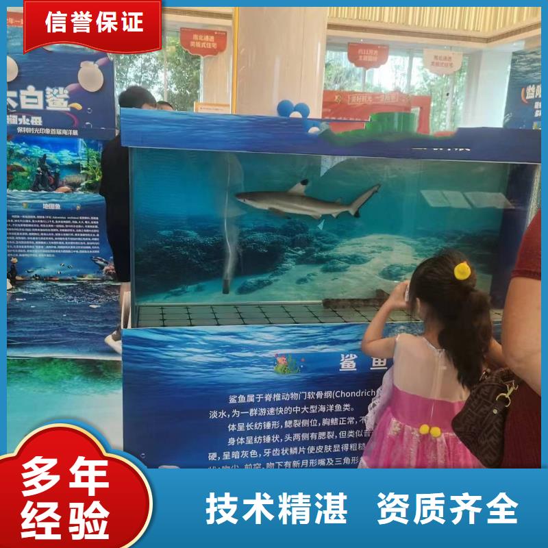 海洋主题动物表演_出租表演海狮服务至上