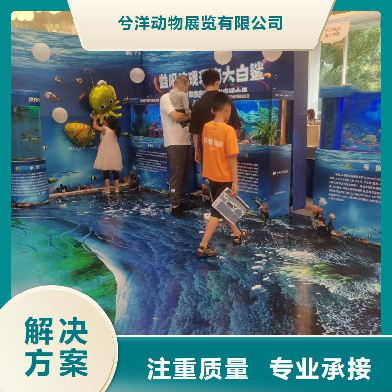 海洋主題動物表演 馬戲團出租 2025公司
