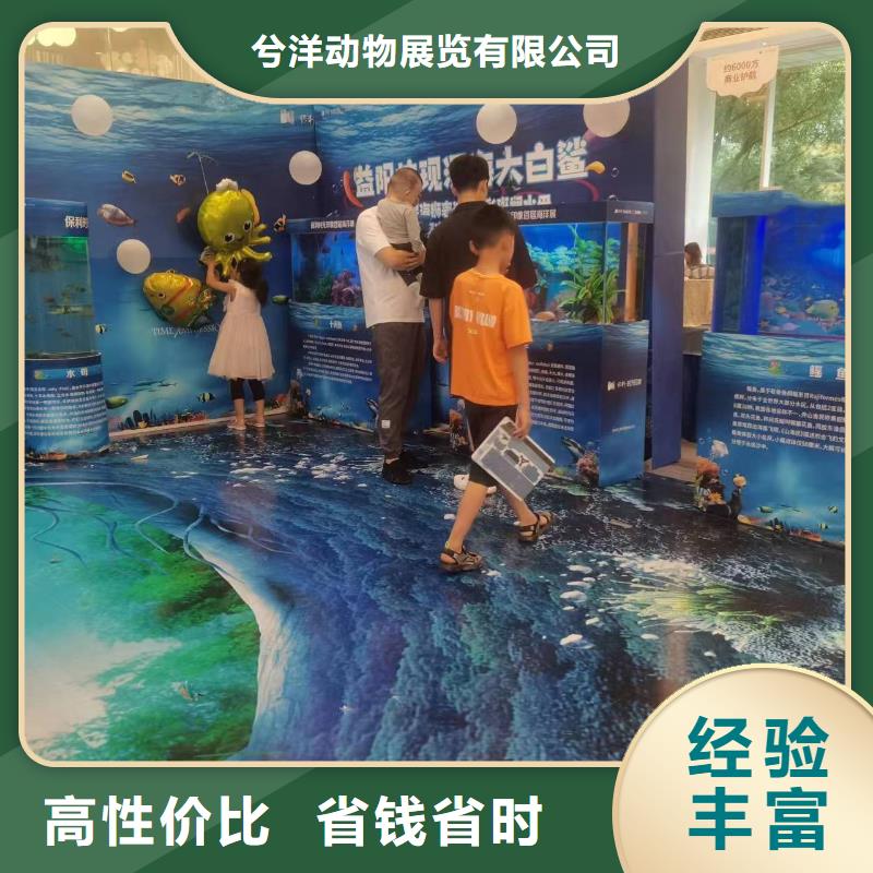 海洋主题动物表演【杂技表演】高性价比